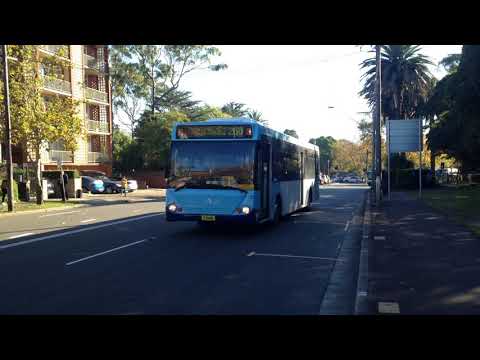 Adam's Trains Vlogs: Hillsbus Northmead: m/o 8446 - Mercedes O405NH - Custom Coaches 550