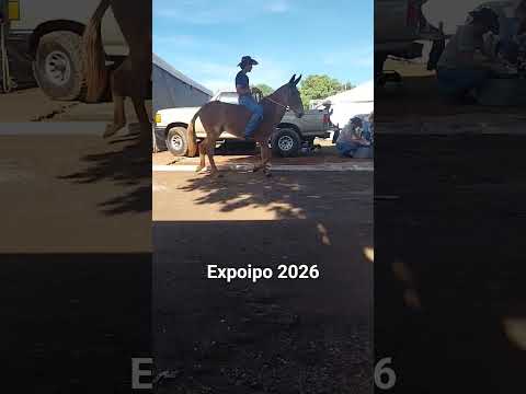 A capital dos mudaleiros Iporá Goiás Brasil