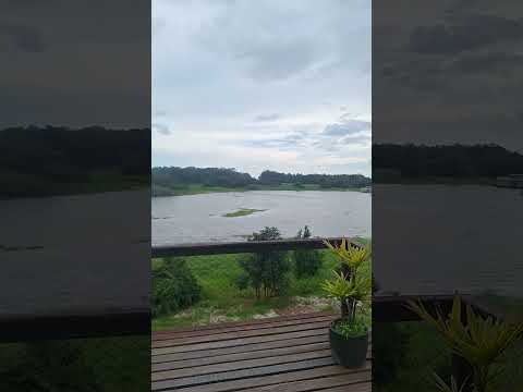 Rio Puraquequara em Manaus/Amazonas