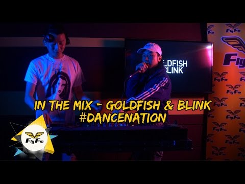 In The Mix - Goldfish And Blink #DanceNation