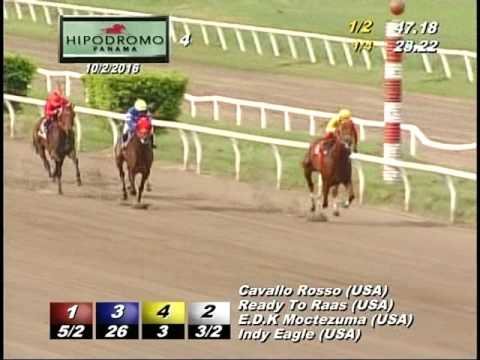 4TA CARRERA DEL DOMINGO 2 DE OCTUBRE DEL 2016 HPR