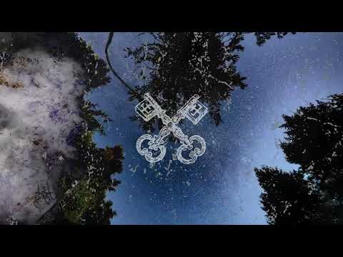 VILKDUJA - Tarsi dilgėlė