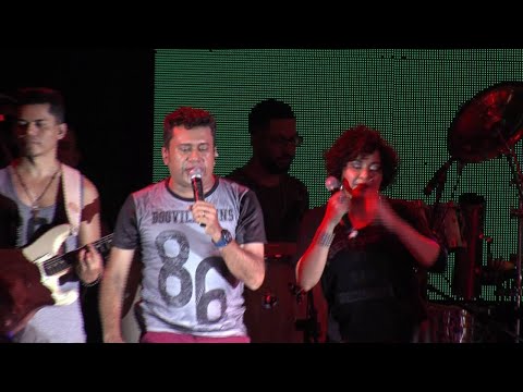 Zé Cantor - Novinha Inteligente - Solteirões do Forró