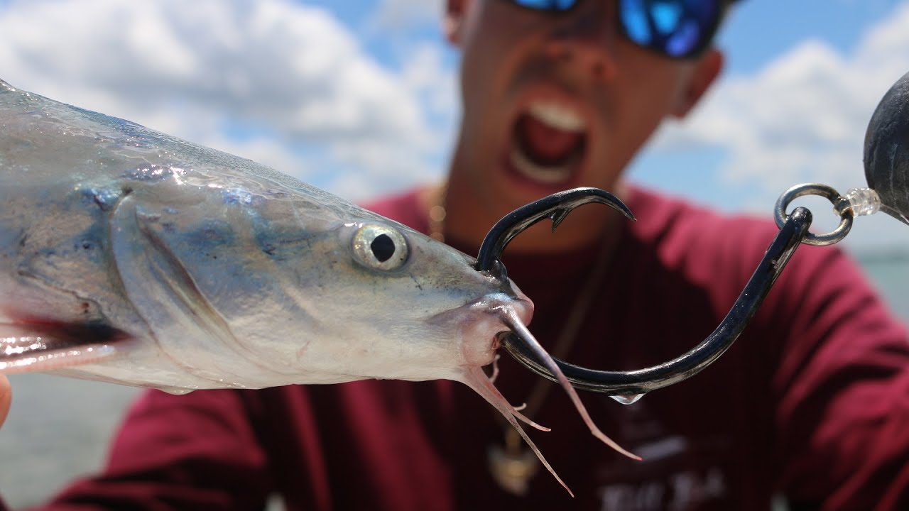 Let S See What Happens Saltwater Catfish Used As Bait Challenge