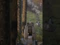 Fashion Or Survival In DayZ