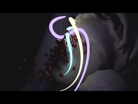 Murlo — Vertigo [Official]