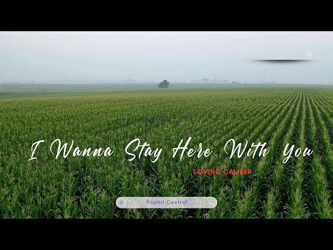 I Wanna Stay Here With You- Loving Caliber | Hits and Sweet Melodies #dancepop  #toppopularmusic