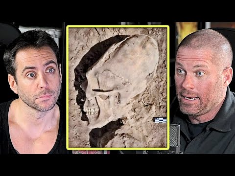 Jordi Wild asks an archaeologist if he has found any evidence of aliens in his work.