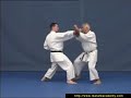 Bunkai Nijushiho Par Jean Pierre Lavorato