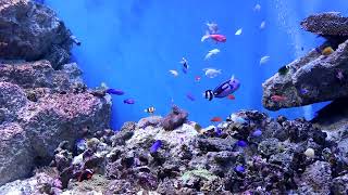 仙台うみの杜水族館