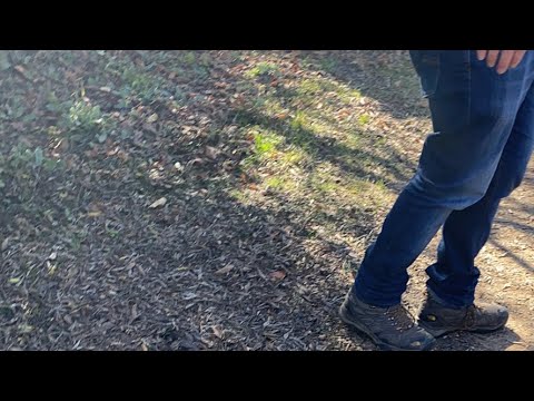 Lavandula Swiss Italian Farm | lavender farm | Tourist spot in Daylesford | Melbourne Travellers