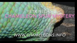 CHAMELEON SPUR MYSTERY
