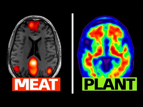 How A Vegan Diet Affects The Brain