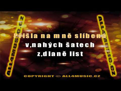 KJ1363 NEDVĚDI-Jehličky (Karaoke verze)