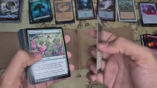 Maior Aquisição de Cartas do Canal !