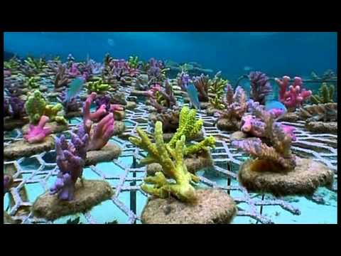 Exclusive Ydrinf & Mxy Feat.Kate Lesing - Back To The Earth 2012