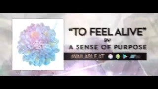 A Sense of Purpose - To Feel Alive