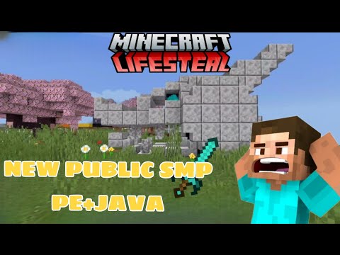 Minecraft Insanity! Join Our Public SMP TODAY! 🤩