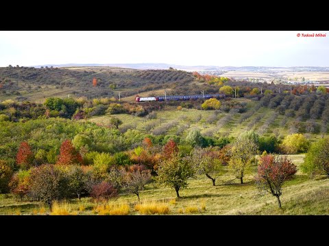 [4K] CFR Calatori IR 1831, Galati - Iasi - Cluj Napoca,near Ciprian Porumbescu [October, 2021]