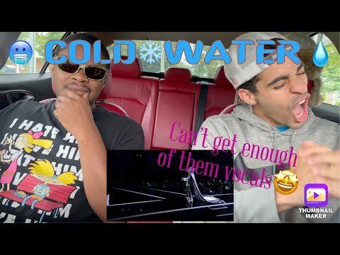 EMA2020 CHINCHILLA- COLD WATER (REACTION)