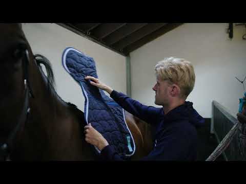 wkd little gem trot up