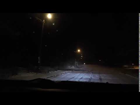 rådyr 28 .11. 2019 .korsvoll skole