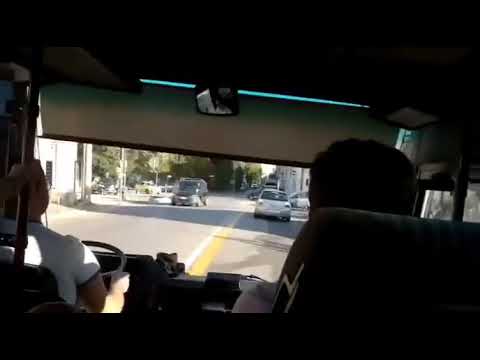 L’autista di un bus da di matto (Padova)