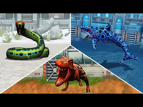 T Rex vs Titanoboa vs Megalodon | Who will win? | Aquatic Tournament - Jurassic Park Builder