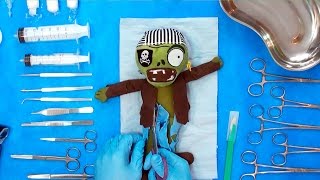 Qué Hay Dentro de un Zombie?