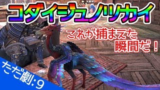 【ただ劇】MHW『初レア環境生物GET！コダイジュノツカイ！！』