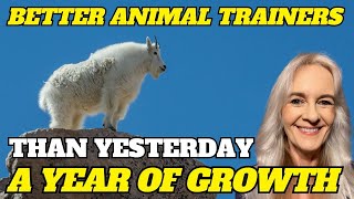 Better Animal Trainers Than Yesterday: A Year of Perseverance and Growth