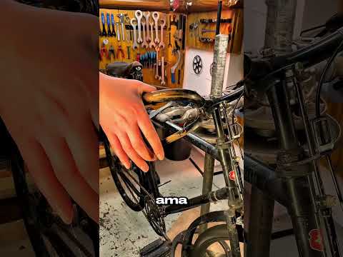 Modern Frenler Böyle Ortaya Çıktı! 🤯