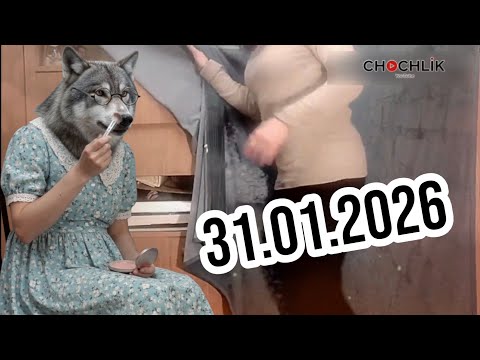 Ela Gawin Skrót lajta i donejty (Marta W dokucza mojej córce) 31.01.2026