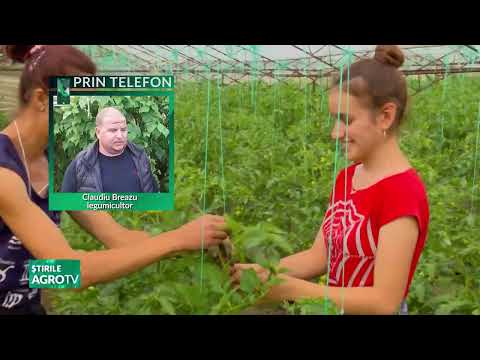 agrotv news 27 01 2026 P1