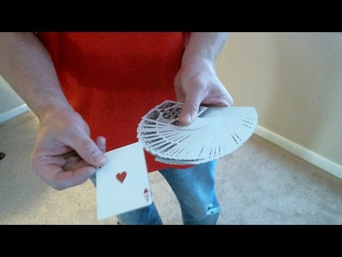 I Struggle and I Emerge // Magic and Cardistry
