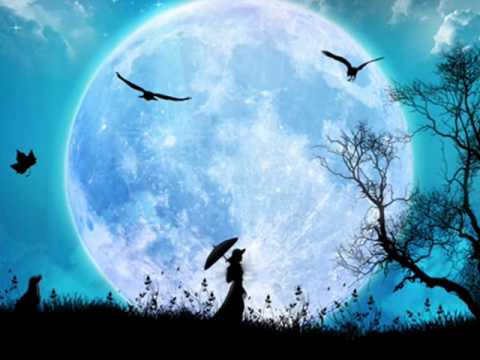 Lua video