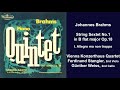 Johannes Brahms: String Sextet No.1 in B flat major Op.18 - I. Allegro ma non troppo