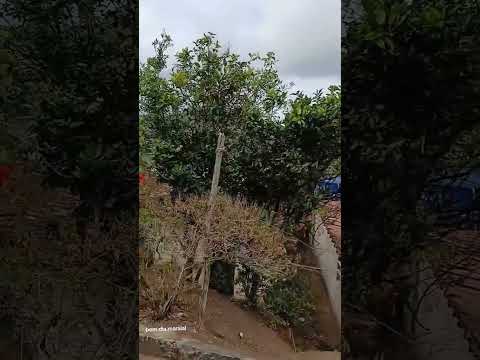 boa noite em maraial Pernambuco