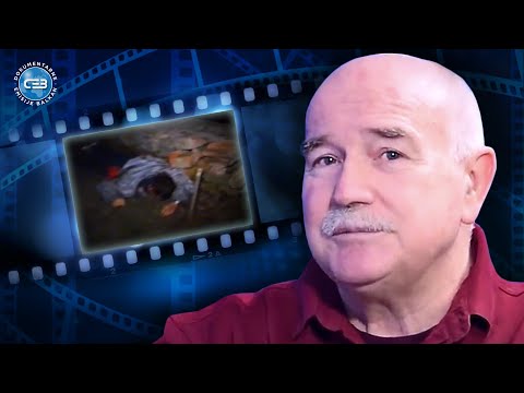 BALKAN INFO: Mile Novaković otkriva kako su nastradale vođe zemunskog klana!