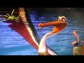Toons Cars Part 14 Squirrel Against Race