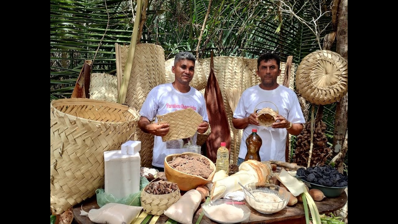 CONHEÇA A MÃE PALMEIRA E SEUS DERIVADOS  -   SOMOS FILHOS DE QUEBRADEIRA DE COCO BABAÇU