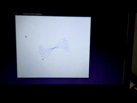 Simple Geometric Flower Using Python