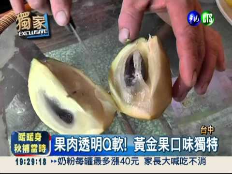 吃起來像果凍! 黃金果鮮甜口味讚