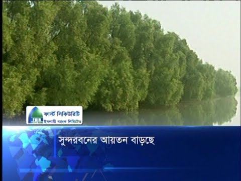 সুন্দরবনের আয়তন বাড়ছে