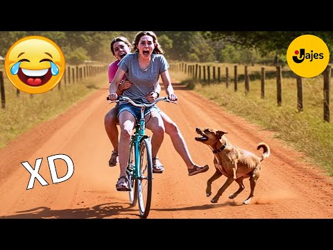 SI TE RÍES PIERDES NIVEL DIOS #122 🤣 VIDEOS DE RISA MUY GRACIOSOS 2025 🤣