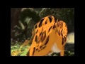 YTP Tarzan Joins The Pyjama Party