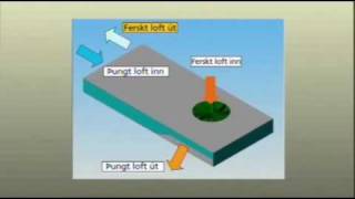 Breather Ventilation - awarded Seed of the year (in Icelandic)