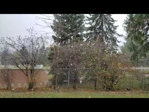 Season's first snowfall in Ajax, Ontario