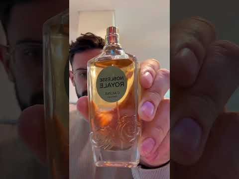 🔥Câline hat ein Brett rausgehauen 🔥😮‍💨 #düfte #parfum #caline #dm #dmhaul #rossmann #burberry