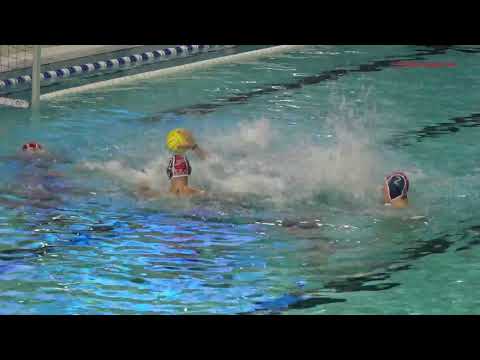 Divisió d'Honor masculina waterpolo (J20): Astralpool CN Sabadell 16-8 CN Terrassa